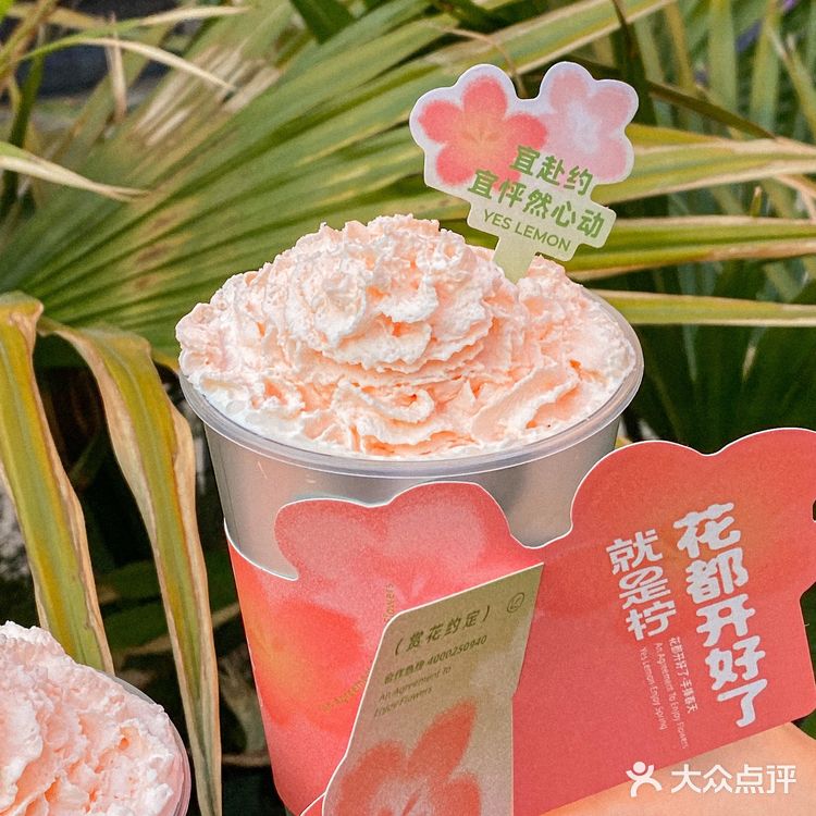 选用的是金韵观音的茶底,茶香带着金桂香