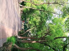 -北极阁公园