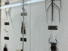 -辽宁古生物博物馆
