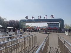 -曹州牡丹园