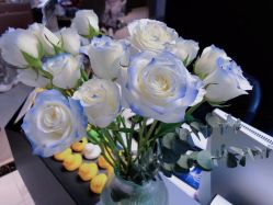 -OCEAN DANCE高空舞蹈室