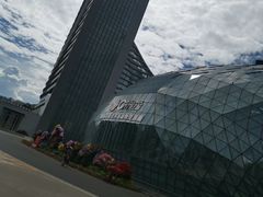 -花之城