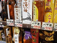-国际通