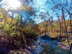 -玉渡山自然风景区