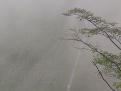 -鹿院坪生态旅游景区