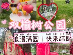 -双榆树公园