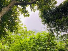 -梧桐山风景名胜区