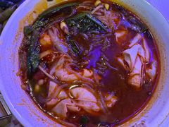 -夜火烤摊·东北烧烤酒场·老杨小黄鱼