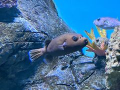 -横店影视城梦幻谷园区