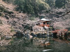 -醍醐寺