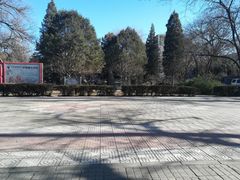 -北京大学燕东园