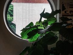 -素咫咖啡CLIFEROSE(新安店)