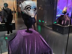 -广西壮族自治区博物馆