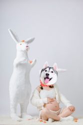 -小鬼当佳儿童摄影(通州外拍店)