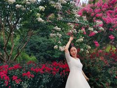 -杭州城北体育公园