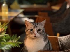 -咖法森林·咖啡  酒吧(天河店)