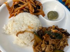 -南宫五洲植物乐园