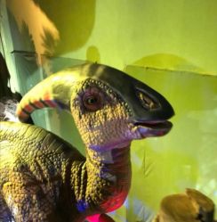 -恐龙探索乐园(磁器口店)