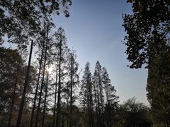 -T80科技文化国际社区-停车场