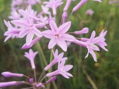 -贵阳蓬莱仙界
