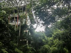 -南宁良凤江国家森林公园