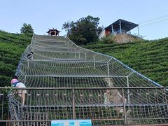 -长沙黑麋峰国家森林公园
