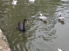 -西安秦岭野生动物园