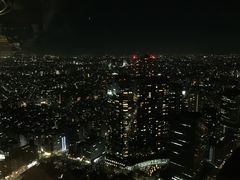 -东京都厅舍