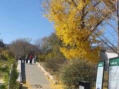 -国家植物园南园