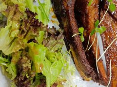 -青麦家·融合餐厅(江岛智立方店)