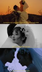 -金夫人婚纱摄影