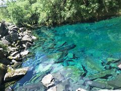 -叠溪松坪沟景区