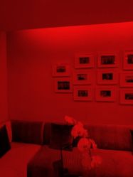 -Yestar杭州艺星医疗美容医院