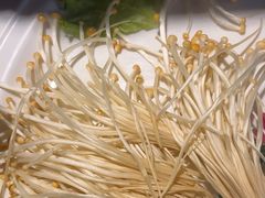 -老版火锅(半坡店)