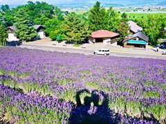 -富田农场