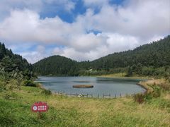 -武陵山森林公园