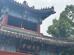 -洛阳白马寺