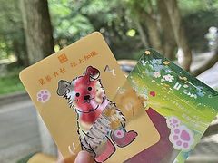 -灵谷景区