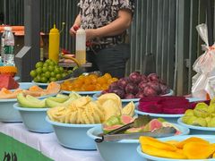 -东莞植物园