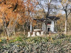 -老山国家森林公园