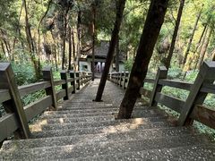 -大鄣山卧龙谷景区