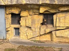 -苏州上方山国家森林公园