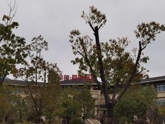 -凤翔首邑温泉度假村