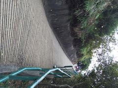 iphone_upload_pic-南丫岛