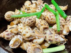 盐焗花螺/斤-猪肉婆私房菜(容桂总店)