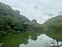 -云溪植物园