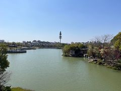 -八大山人梅湖景区