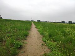 -汉景帝阳陵博物院