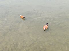 -河北省园博园