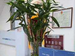 -雅德嘉口腔·咬合重建中心(时雨园店)